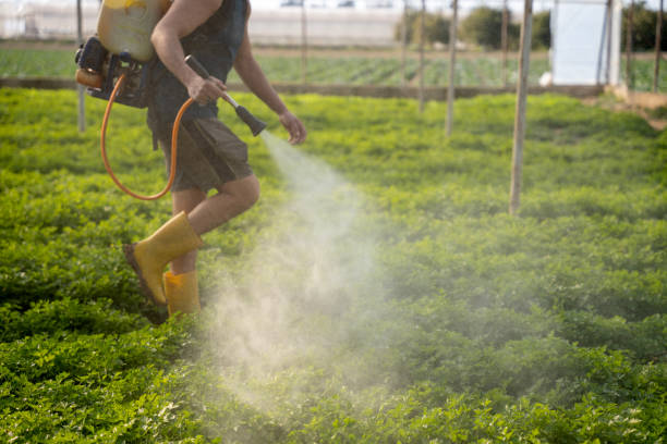 Best Best Pest Control Companies  in Batavia, OH